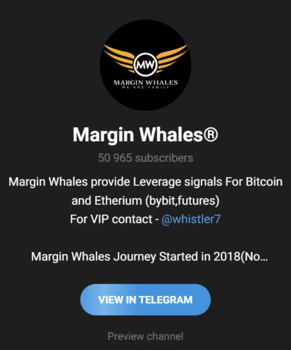 Margin Whales Telegram Group