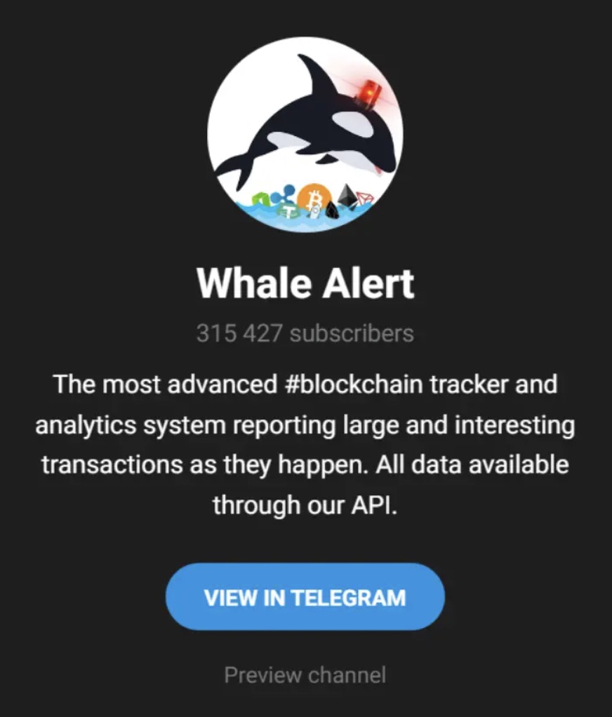 Whale Alert Telegram Channel
