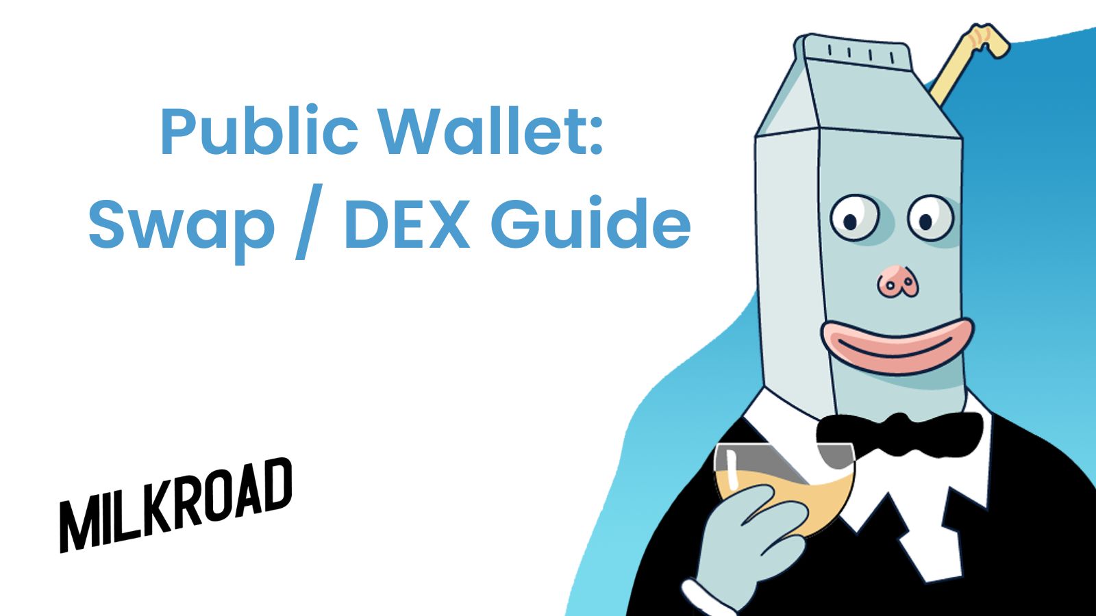 Public Wallet: Swap / DEX Guide